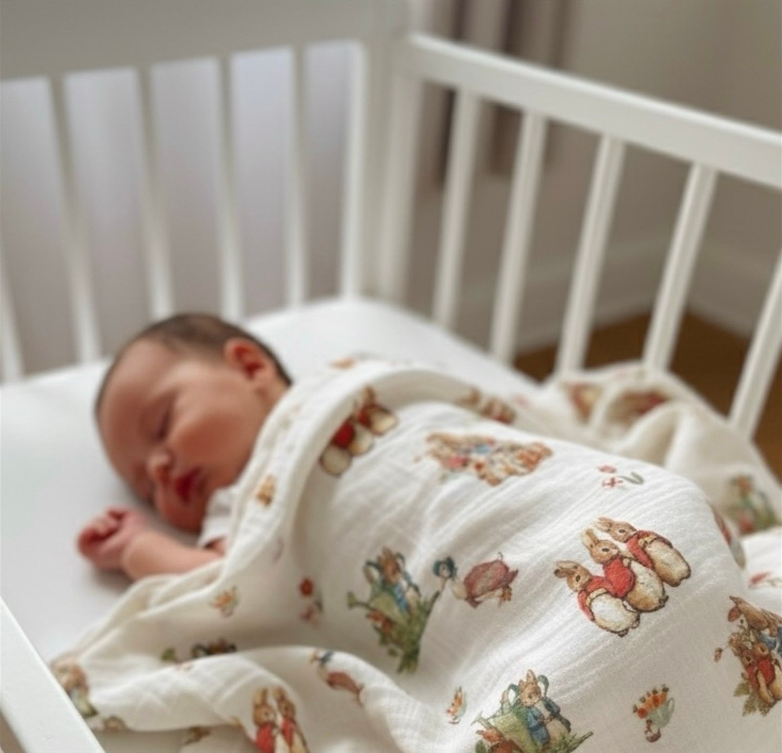 RED VİNTAGE PETER RABBİT KULLANIMA HAZIR MÜSLİN ÖRTÜ